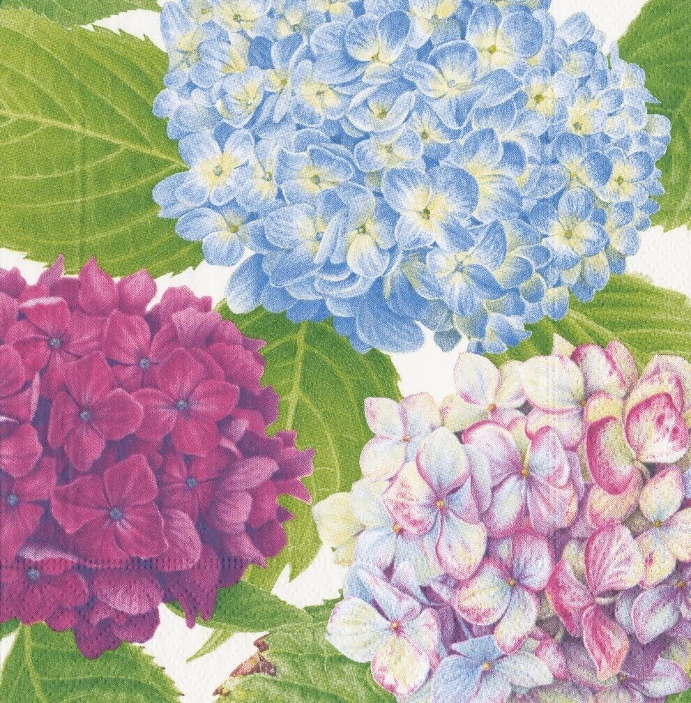 SERVIETTE HORTENSIA 38CM (X20)