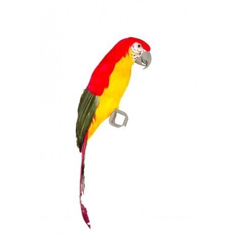 PERROQUET TETE ROUGE CORPS JAUNE 8X11X39CM