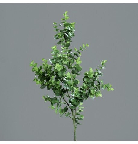 BRANCHE EUCALYPTUS VERT 70CM