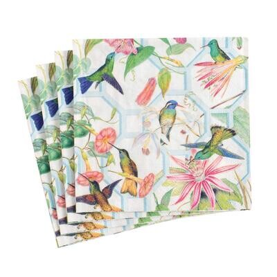 SERVIETTE COCKTAIL COLIBRIS MULTICOLORS 25CM (x20)