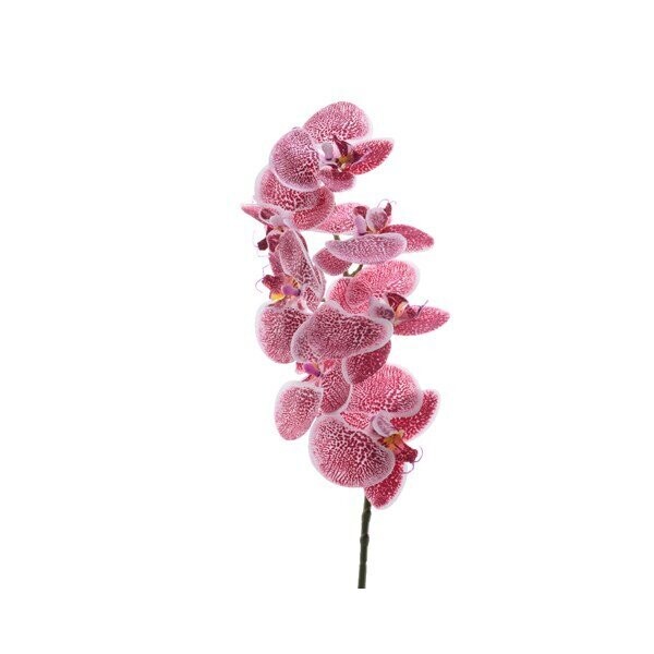 ORCHIDEE FUCHSIA SUR TIGE 77CM