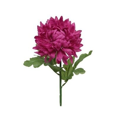 CHRYSTY VIOLET SUR TIGE 67CMP