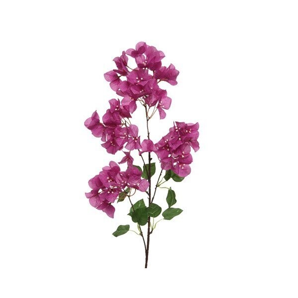 BRANCHE DE BOUGAINVILLIER VIOLET 1M
