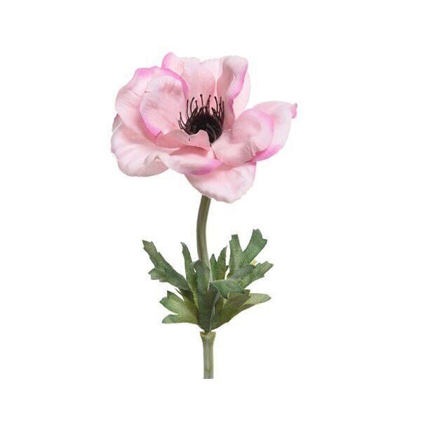 ANEMONE ROSE POUDRE SUR TIGE 57CM
