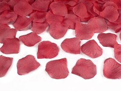 CANON A CONFETTIS PETALES DE ROSE ROUGE 60CM