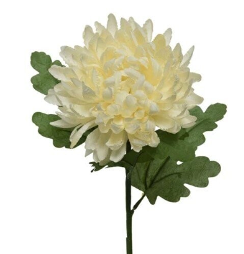 CHRISTY IVOIRE SUR TIGE 67CM