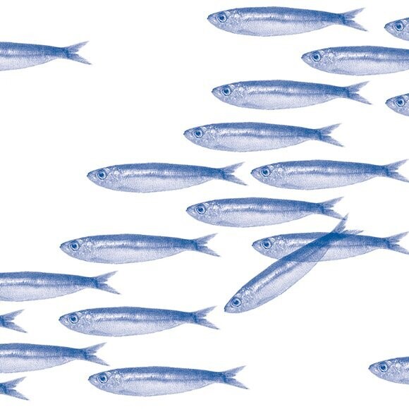 SERVIETTE SARDINES 40x40CM (x20)