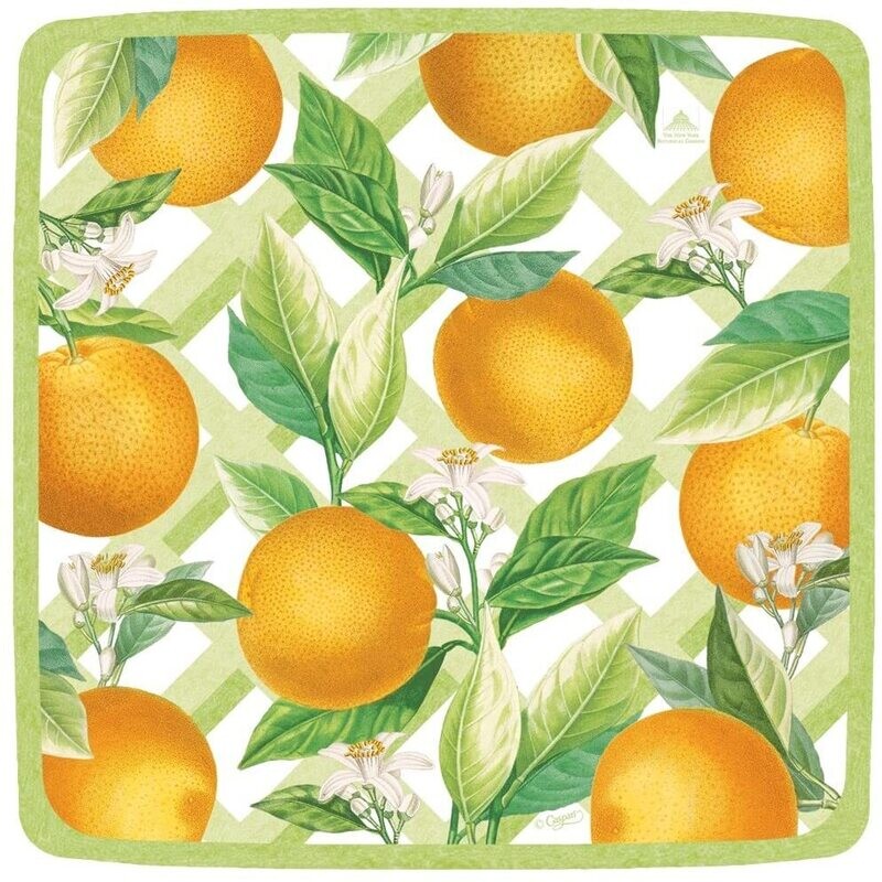 ASSIETTE ORANGERIE 21CM (x8)