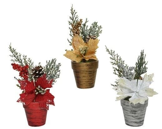 POINSETTIA EN POT ROUGE, OR OU BLANC 25CM