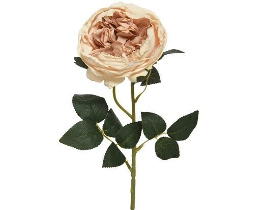 ROSE VIEUX ROSE ET FEUILLAGE 60CM