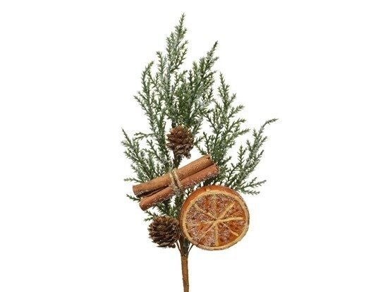 BRANCHE DE LARIX, ORANGE ET CANNELLE ENNEIGE 30CM
