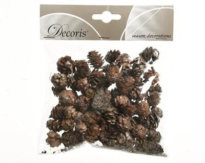 POMMES DE PIN NATURELLE PAILLETTES 45GR