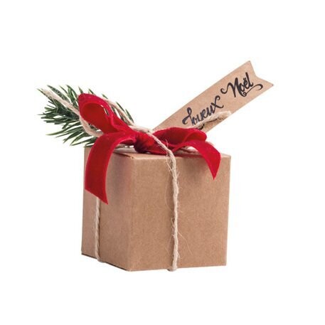 BOITE KRAFT AVEC BRANCHES, RUBANS ET ETIQUETTES 5X5CM (x4)