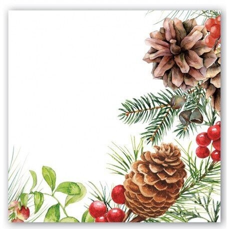 SERVIETTE COCKTAIL BRANCHAGE DE NOEL 25CM (X20)