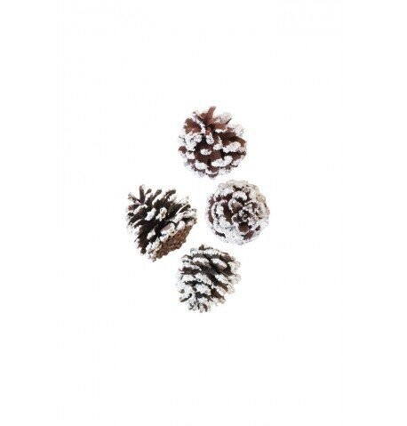 POMME DE PIN NATURELLE ENNEIGEE 5CM (x4)