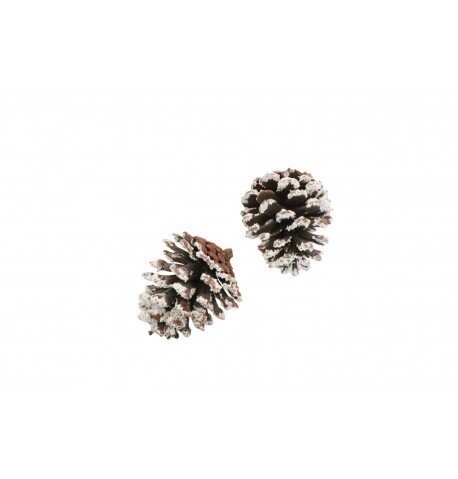 POMME DE PIN NATUREL ENNEIGEE 8,5CM (x2)