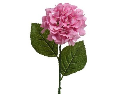 HORTENSIA ROSE 66CM
