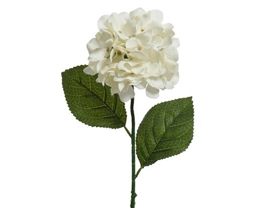 HORTENSIA BLANCHE 66CM