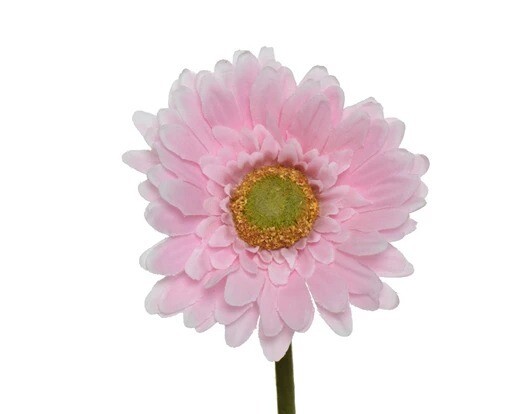 GERBERA ROSE POUDRE SUR TIGE 50CM