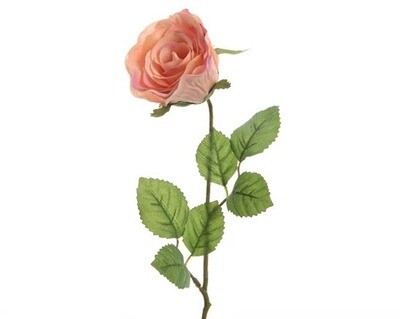 ROSE PECHE SUR TIGE 45CM