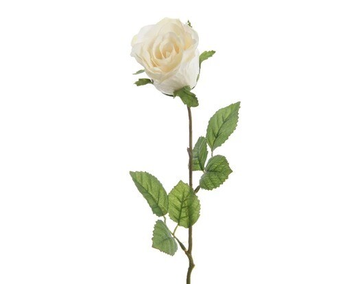 ROSE CREME SUR TIGE 45CM