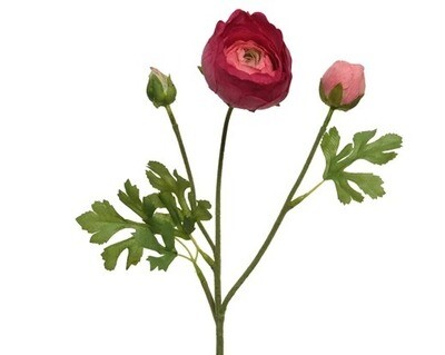RENONCULE FUSCHIA SUR TIGE 51CM