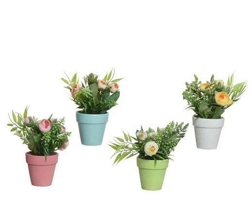 RENONCULES ROSE OU PECHE ET FEUILLAGE EN POT 16CM 4 COULEURS ASSORTIS