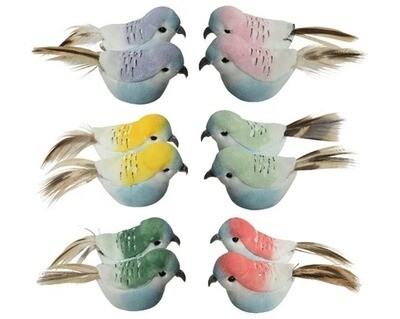 OISEAU MOUSSE ET PLUME PASTEL 3.5x6CM (x2)