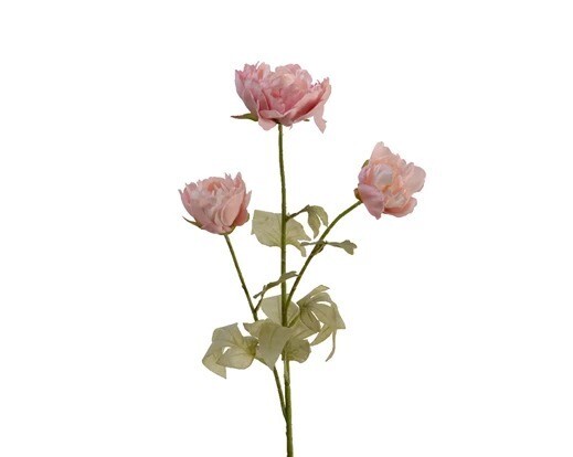 PIVOINE ROSE SUR TIGE 72CM