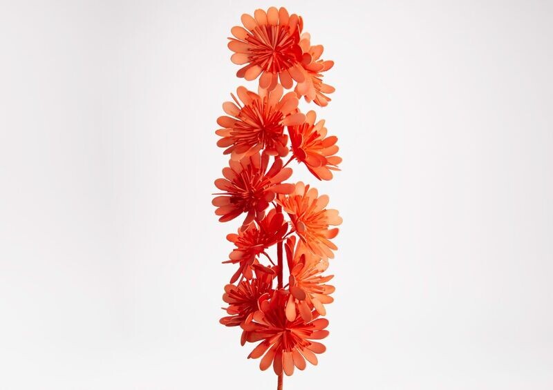 GERBERAS CORAIL SUR TIGE 103CM