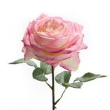 ROSE ANNA ROSE SUR TIGE 39CM