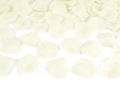 CANON A CONFETTIS PETALES DE ROSE CREME 40CM