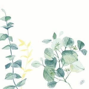 SERVIETTE QUALITE LUXE BRANCHES EUCALYPTUS 40x40CM (x60)