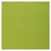SERVIETTE AIRLAID KIWI 65GR-M2 40CM (x25)