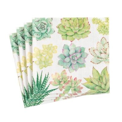 SERVIETTE COCKTAIL SUCCULENTES 25CM (x20)