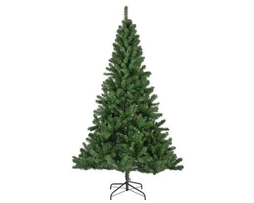 SAPIN MONARQUE 2.10M