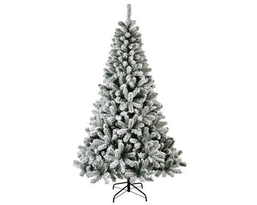 SAPIN MONARQUE ENNEIGE 1.50M