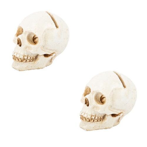 MARQUE PLACE TETE DE MORT RESINE BLANC VIEILLI 4x3.5CM (x2)