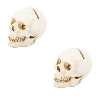 MARQUE PLACE TETE DE MORT RESINE BLANC VIEILLI 4x3.5CM (x2)