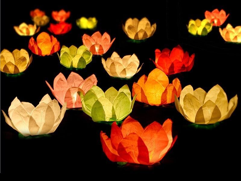 LANTERNE FLOTTANTE FLEURS COULEURS ASSORTIS 29CM (x6)