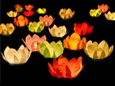 LANTERNE FLOTTANTE FLEURS COULEURS ASSORTIS 29CM (x6)