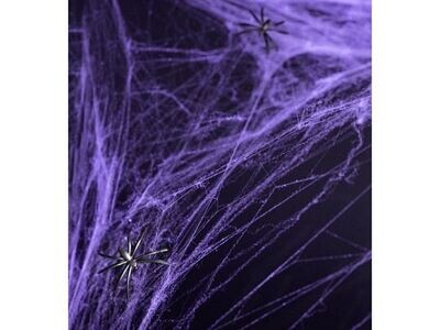 TOILE D'ARAIGNEE VIOLET 60GR