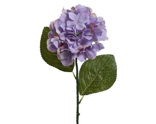 HORTENSIA LILA 66CM