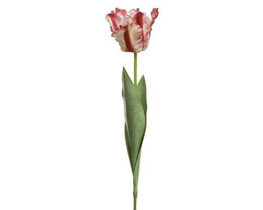TULIPE ROUGE ET BLANC SUR TIGE 68CM