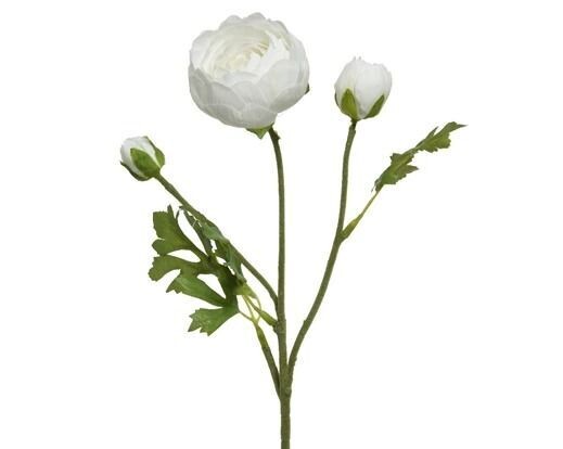 RENONCULE BLANCHE SUR TIGE 51CM