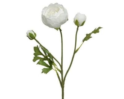 RENONCULE BLANCHE SUR TIGE 51CM