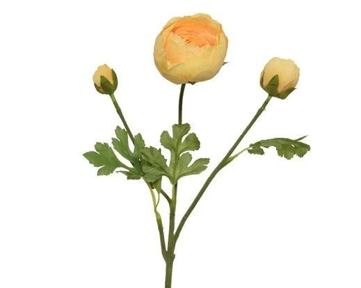 RENONCULE JAUNE SUR TIGE 51CM