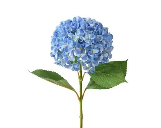 HORTENSIA BLEU SUR TIGE 67CM
