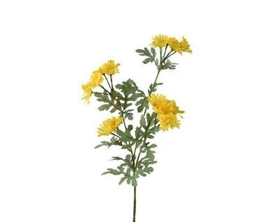 MARGUERITES JAUNES ET FEUILLAGE SUR TIGE 70CM