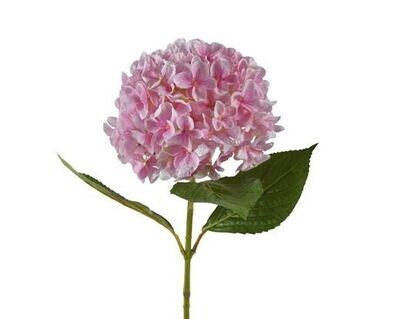 HORTENSIA ROSE SUR TIGE 67CM